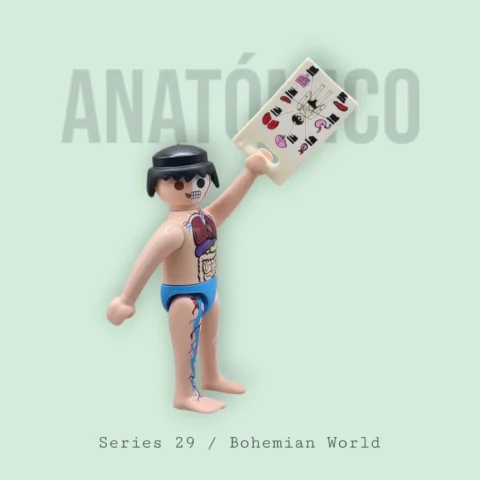 Maniquí Anatómico - Series 29 72027 Portada 2